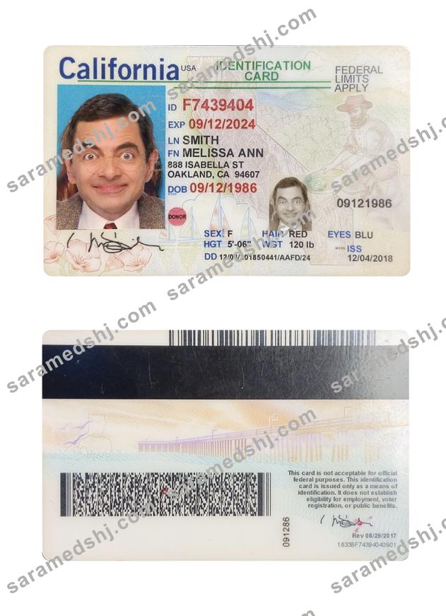 USA California ID card